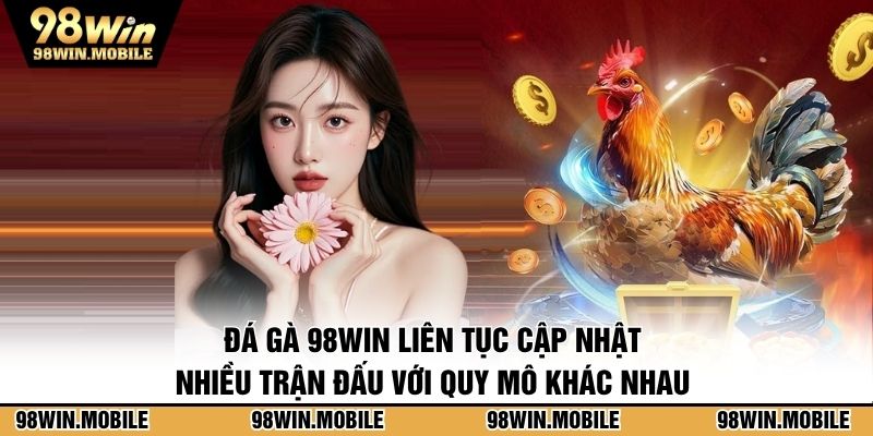 Đá gà 98WIN liên tục cập nhật nhiều trận đấu với quy mô khác nhau 